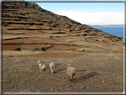 foto Lago Titicaca